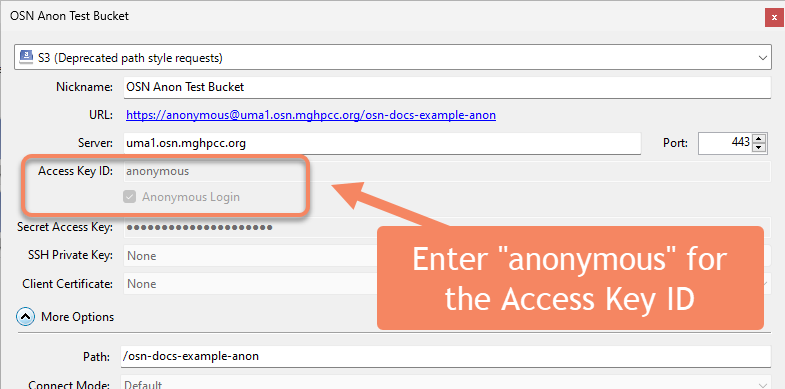 Using anonymous access as your user